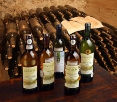 Vinařství Ovčáčík