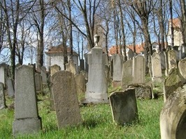 Nový židovský hřbitov