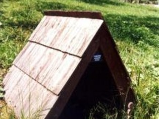 Povrchové prameny sirné vody (studánka)