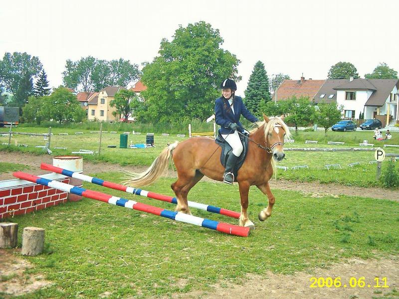 Jezdecká škola Pegas