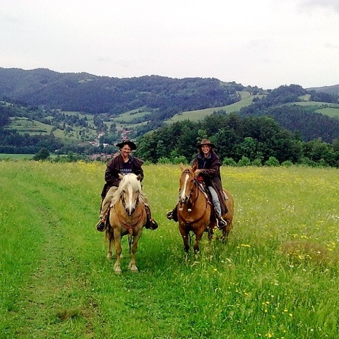 Koliba na Janovských pasekách