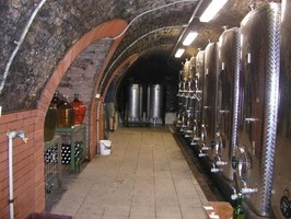 Vinný sklep - Ing. Vaďura Jaroslav