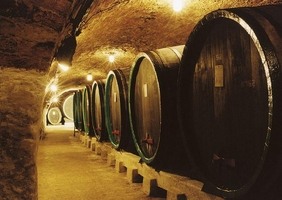 Čejkovice - Templářské sklepy