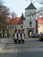 Napoleonští vojáci