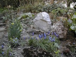 psí hřbitov v zámeckém parku