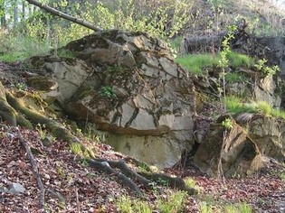 Zřícenina hradu Křídlo