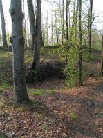 Zřícenina hradu Křídlo