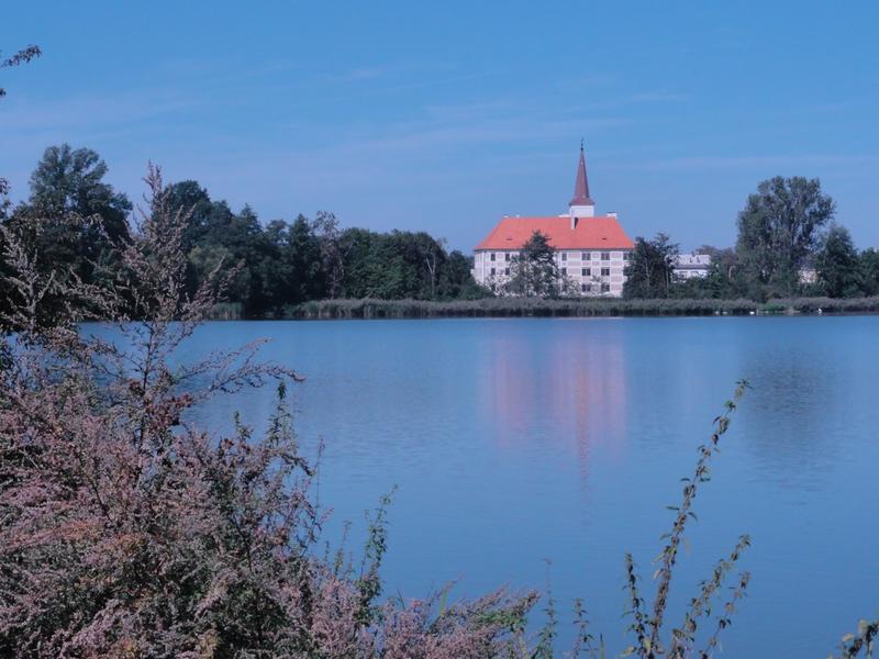 NPP Chropyňský rybník