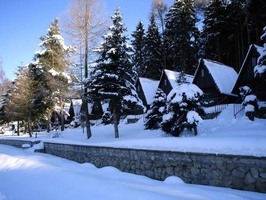 zimní pohled