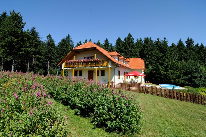 Penzion Patrik - Mikulčin vrch