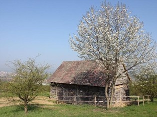 Historická stodola z obce Břestek
