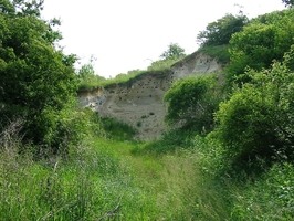Lokalita Stráně a Malšín - hnízdiště chráněných vlh pestrých
