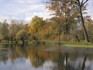 Přírodní památka Stonáč