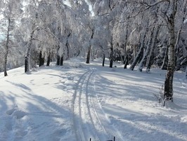 Přírodní rezervace Ploštiny