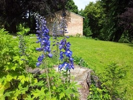 Původní komponovaná zahrada zanikla při adaptaci vily na jesle