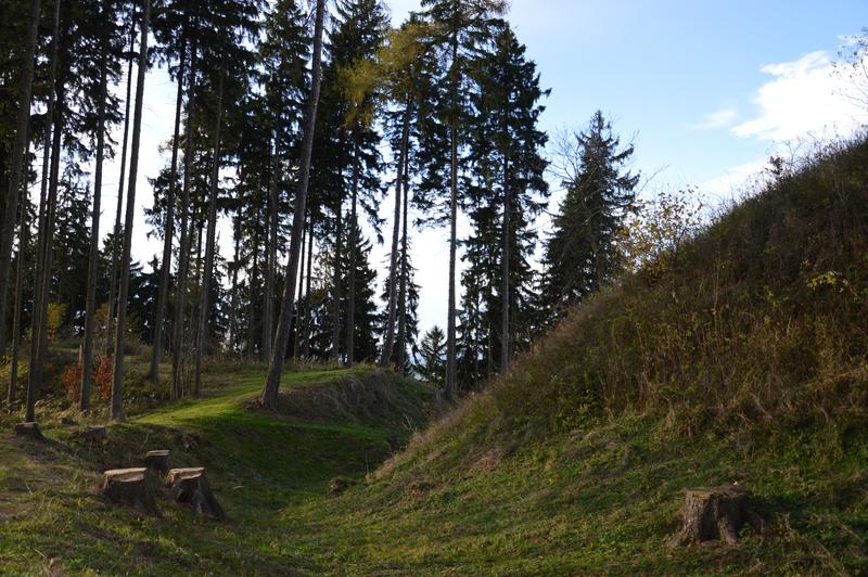 Zřícenina hradu Šaumburk