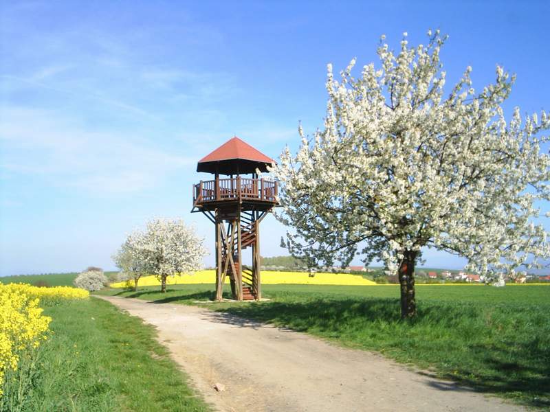 Rozhledna Doubí u Vážan