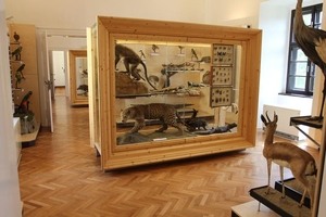 zoologická expozice_foto archiv Muzeum jihovýchodní Moravy ve Zlíně