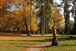 Dřevěné sochy v Americkém parku