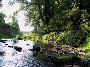 Přírodní památka Olšava