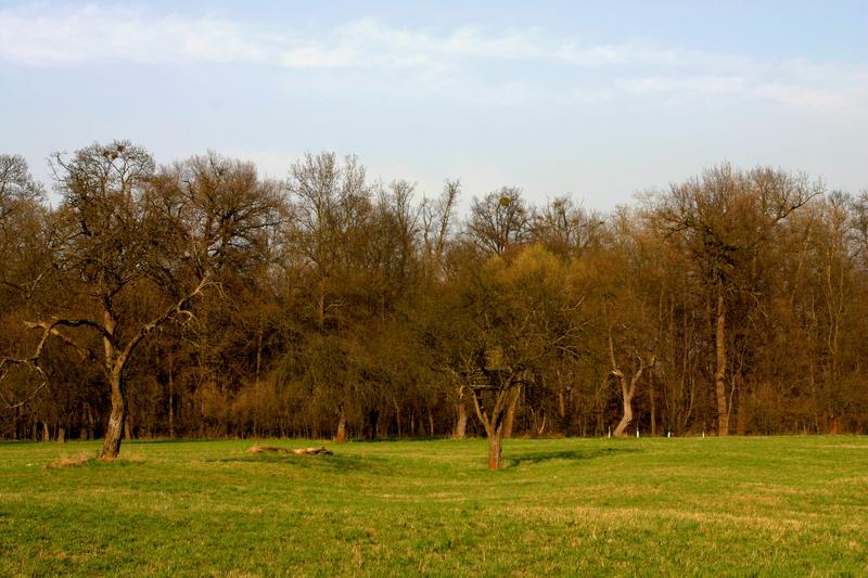 Přírodní rezervace Trnovec