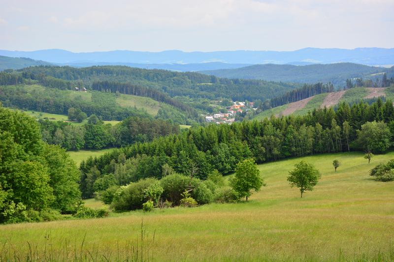 Vlčková