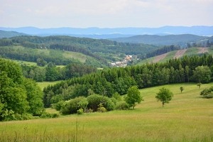 Vlčková