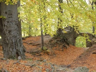 Zřícenina hradu Rožnov