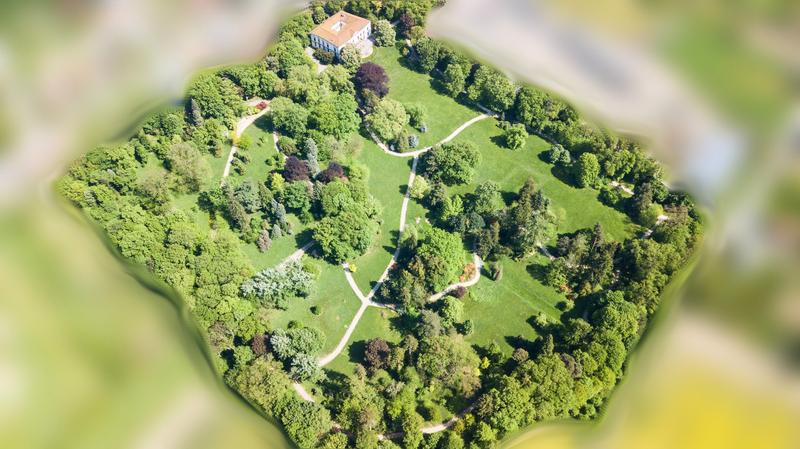 Zámecký park v Lešné