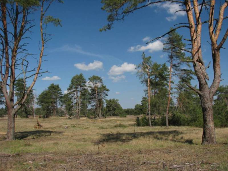 Váté písky, národní přírodní památka