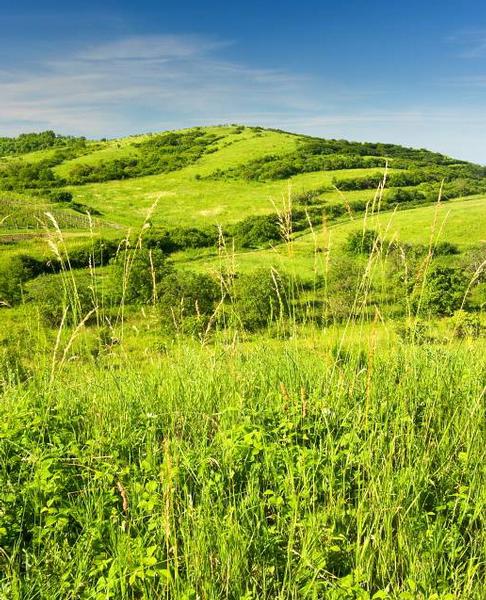 Dunajovické kopce, národní přírodní památka