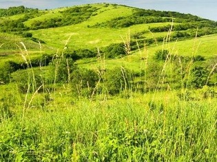 Dunajovické kopce, národní přírodní památka