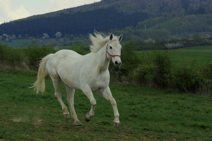 Venkovský statek SunJardin