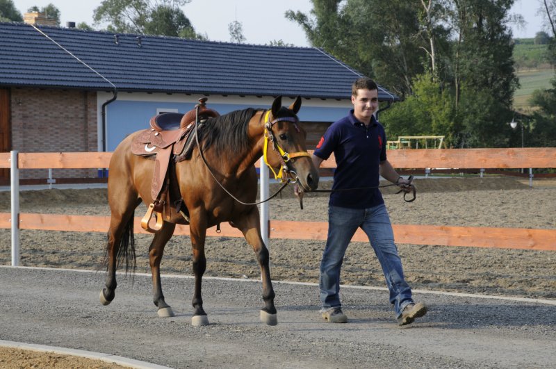Farma Na Haldě - vyjížďky na koni, výuku jízdy na koni, vození dětí na koni
