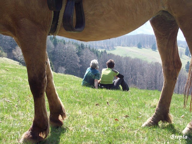 Hucul club Francova Lhota