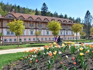 Městská památková zóna Luhačovice