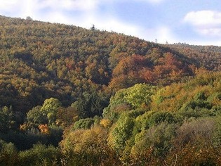 Maršava, přírodní památka