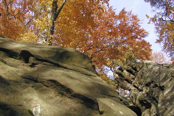 Skály pod Barborkou
