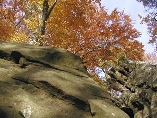 Skály pod Barborkou