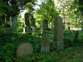 Židovský hřbitov