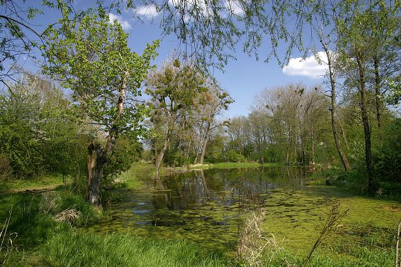 Přírodní památka Stonáč