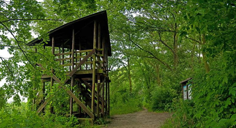 Naučná stezka Lednické rybníky