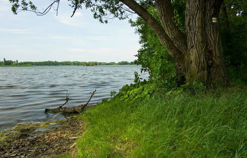 Poznejte Lednické rybníky