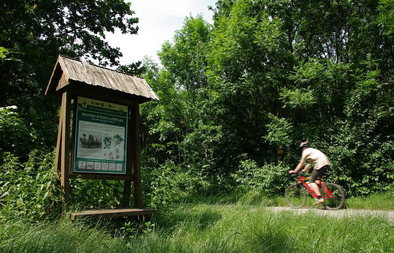 Naučná stezka Lužní les