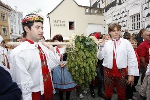 Pálavské vinobraní