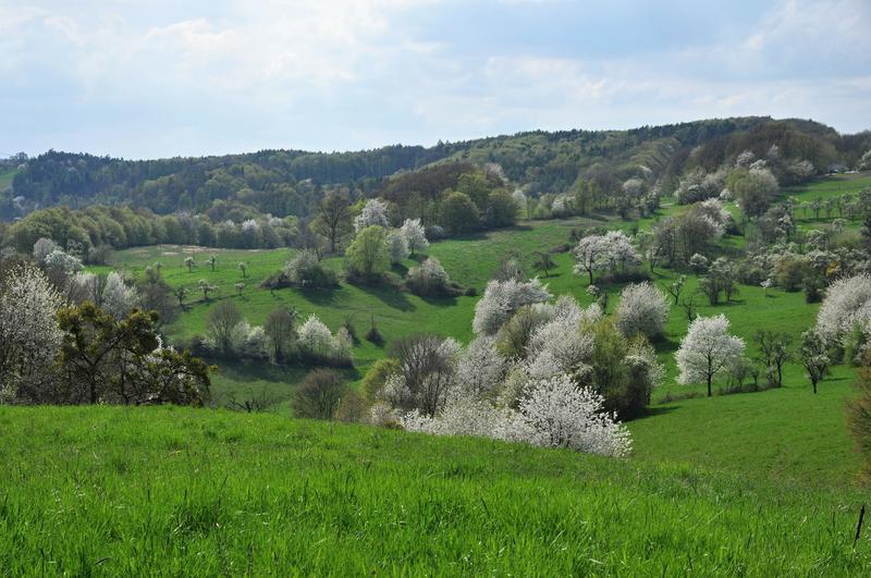Přírodní park Želechovické paseky a Pasekářská stezka