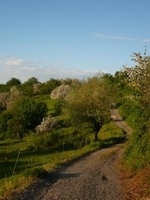 Pasekářská stezka