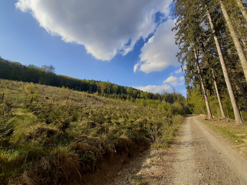 Naučná stezka Lukov