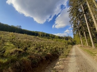 Naučná stezka Lukov