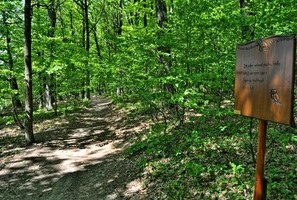 Za mysliveckou chatou_foto Pavel Nášel